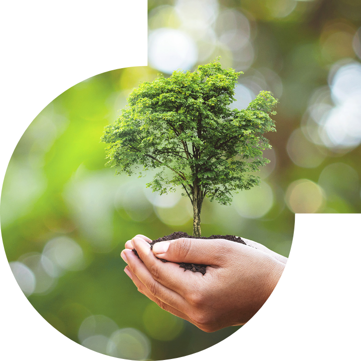 關懷人類、文化、環境與社會